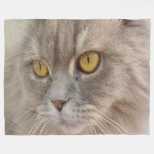 Couverture Polaire Chat persan gris d'oeil d'or