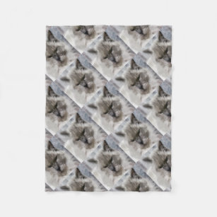 Couvertures Chaton Blanc Zazzle Fr