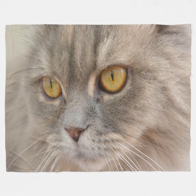 Couverture Polaire Chat perse gris yeux doré (Devant (Horizontal))