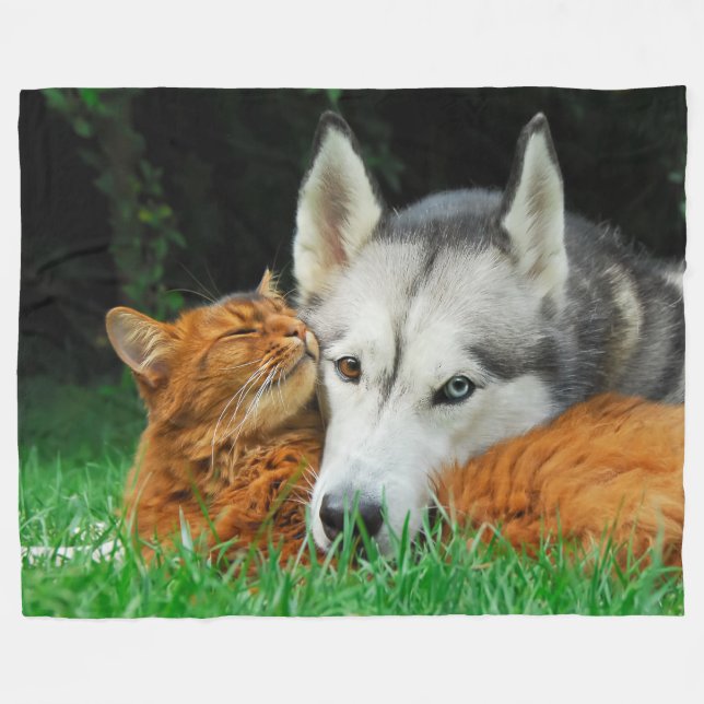 Couverture Polaire chat somalien et Husky sibérien de mignons amis en (Devant (Horizontal))