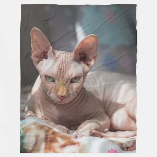 COUVERTURE POLAIRE CHAT SPHINX (Devant)