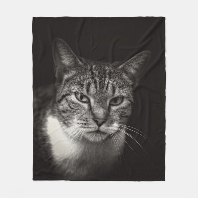 COUVERTURE POLAIRE CHAT TABLEAU D'ARGENT (Devant)