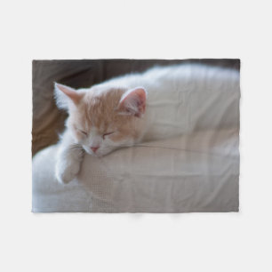 Couverture Polaire Chaton beige et blanc fatigué