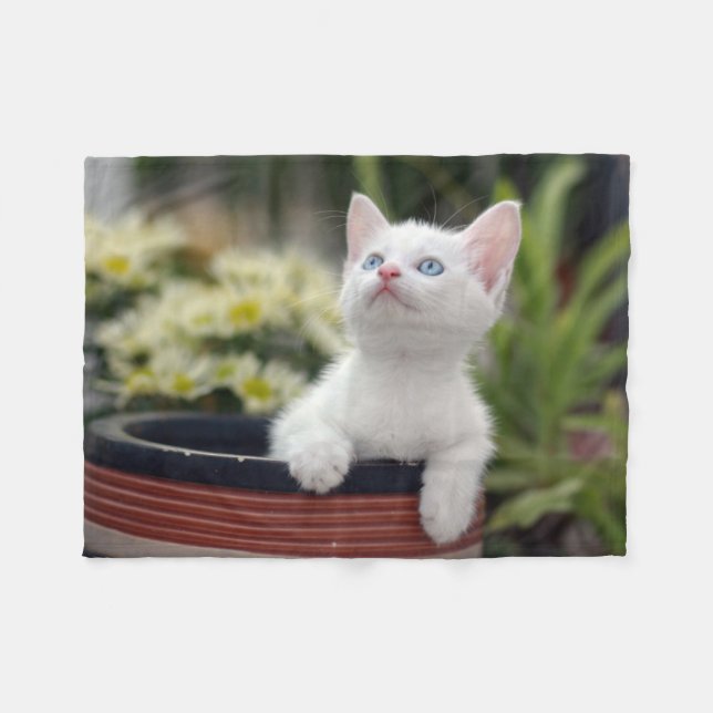 Couverture Polaire Chaton blanc turc (Devant (Horizontal))
