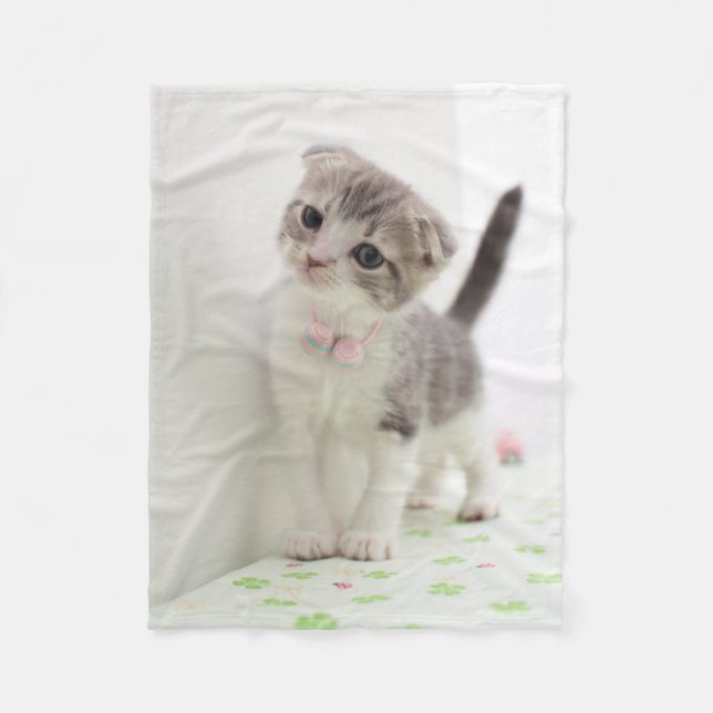 Couverture Polaire Chaton de pli d'écossais (Devant)