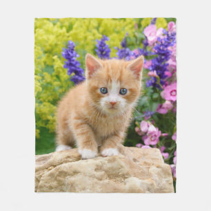 Couverture Polaire Chaton mignon de chat de gingembre dans le jardin