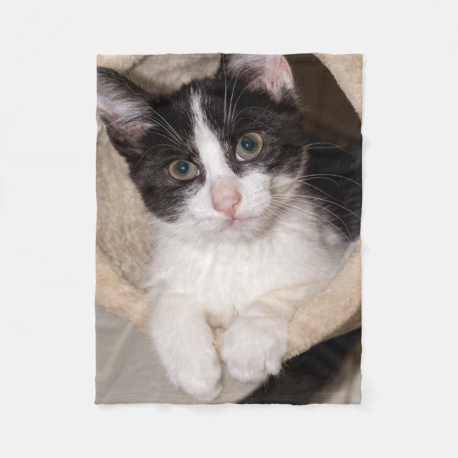 Couverture Polaire Chaton noir et blanc (Devant)