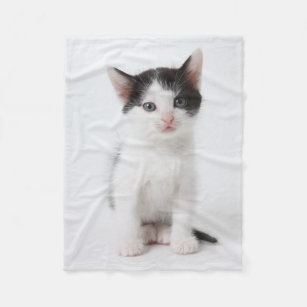Couvertures Chaton Blanc Zazzle Fr Couvertures Chaton Blanc Zazzle Fr