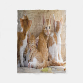 Couverture Polaire Chaton tigré orange et blanc/Ajoutez la photo de v