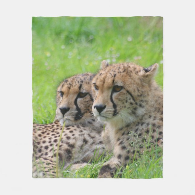Couverture Polaire Cheetah 001 (Devant)