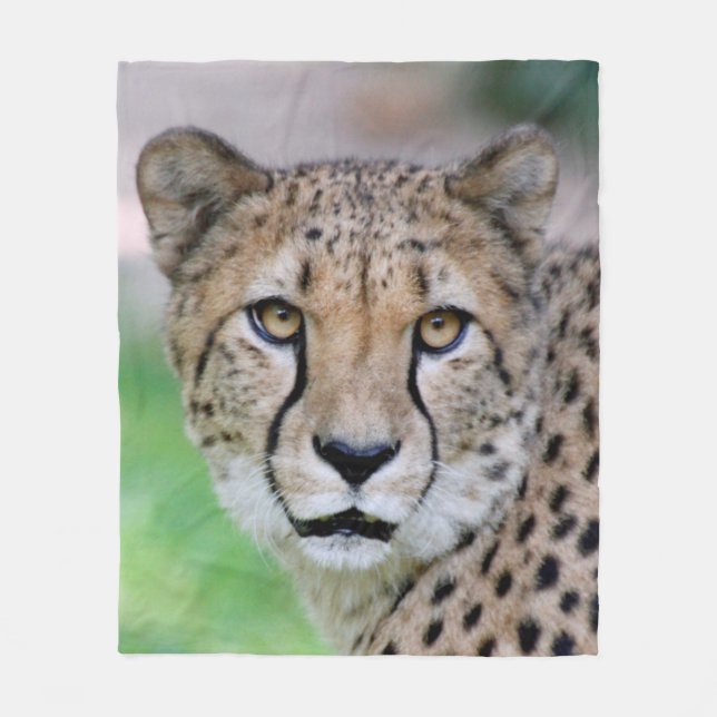 Couverture Polaire Cheetah_2014_0901 (Devant)