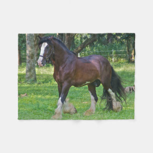 Couverture Polaire Cheval Clydesdale
