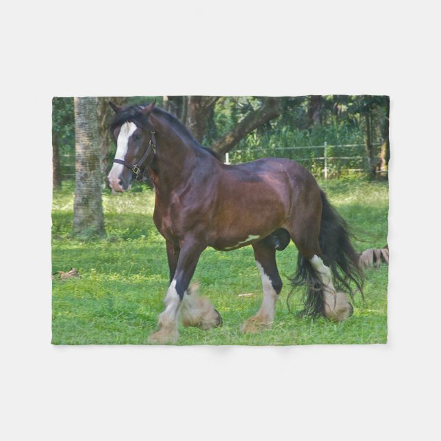 Couverture Polaire Cheval Clydesdale (Devant (Horizontal))