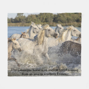 Couverture Polaire Cheval de Camargue Race Ancienne De France Équestr
