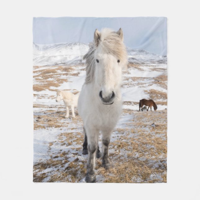 Couverture Polaire Cheval islandais blanc, Islande (Devant)