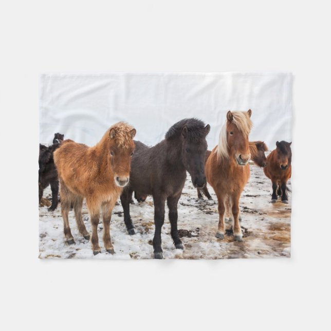 Couverture Polaire Cheval islandais en hiver Islande (Devant (Horizontal))