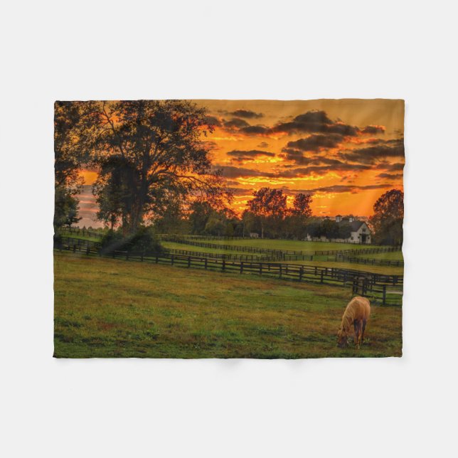 Couverture Polaire Cheval solitaire au coucher du soleil (Devant (Horizontal))