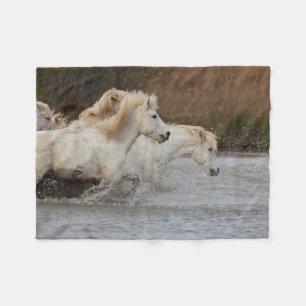 Couverture Polaire Chevaux blancs de Camargue courant dans l'eau