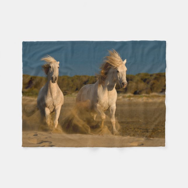 Couverture Polaire Chevaux blancs fonctionnant sur la plage | (Devant (Horizontal))