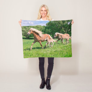 Couverture Polaire Chevaux de Haflinger avec de mignons poulains Cour