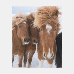 Couverture Polaire Chevaux islandais se blottissent, Islande