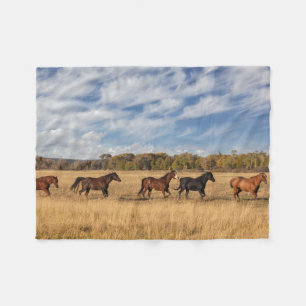 Couverture Polaire Chevaux juste à l'extérieur du parc national de Gr