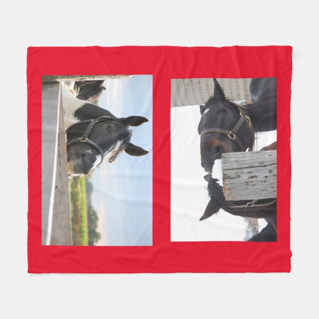 Couverture Polaire Chevaux mâcher sur une clôture (Devant (Horizontal))