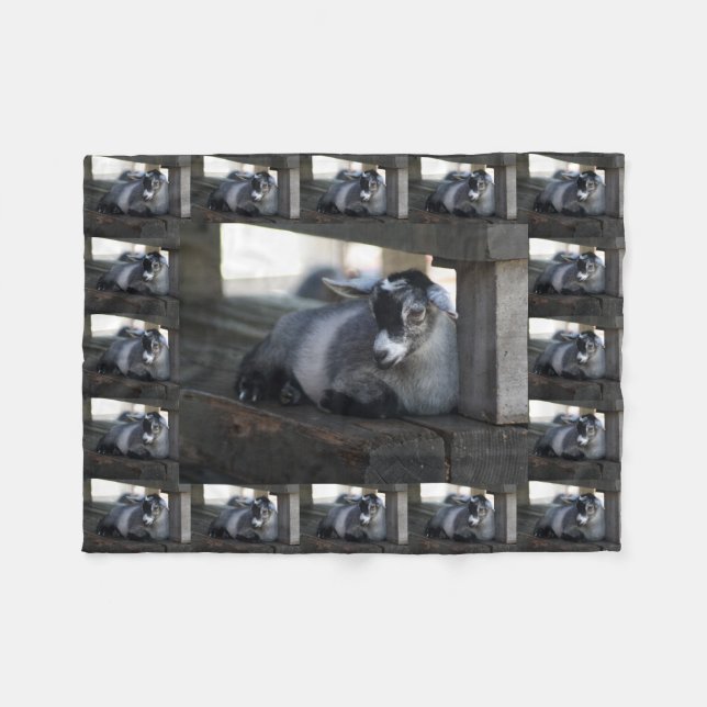 Couverture Polaire Chèvre (Devant (Horizontal))