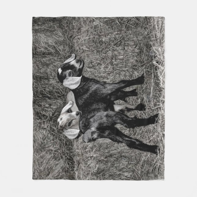 Couverture Polaire Chèvres de bébé sur le foin (Devant)