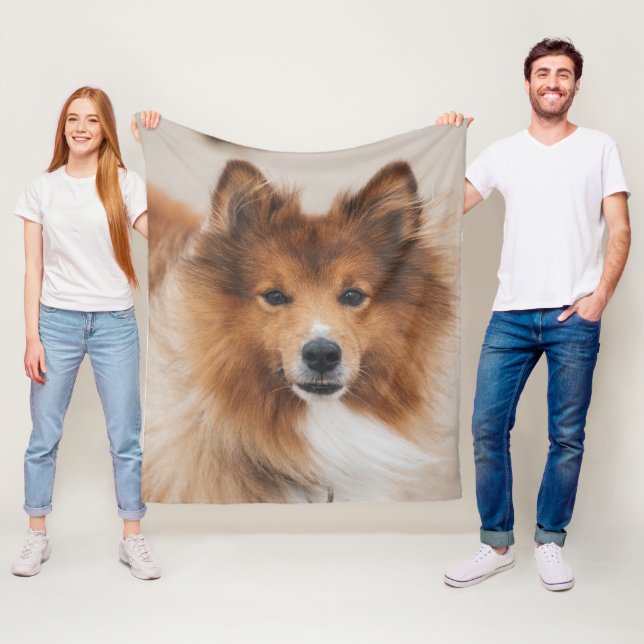 Couverture Polaire Chien d'animaux de compagnie Corgi Canine race Bla (En situation)