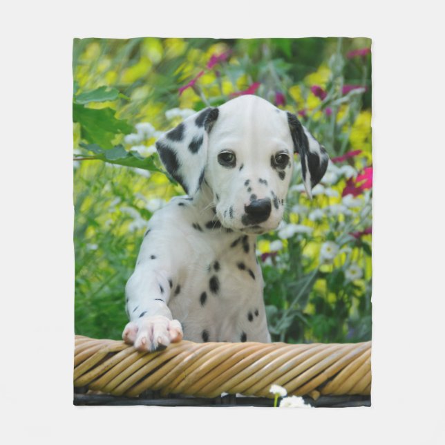 Couverture Polaire Chien de Dalmatie mignon Chien Chien, confort (Devant)