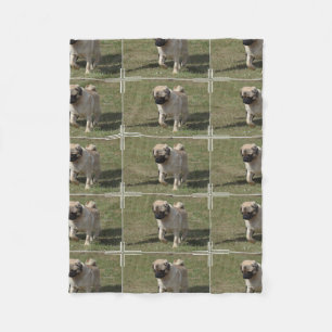 Couverture Polaire Chien doux de carlin