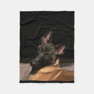 Couverture Polaire Chien Malinois belge