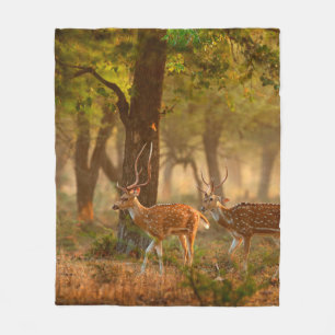 Couverture Polaire Chien ou cheetal, axe Axe, cerfs tachetés ou axi