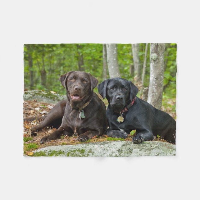 Couverture Polaire Chiens Chiens Marionnettes Black Lab Chocolat Labr (Devant (Horizontal))