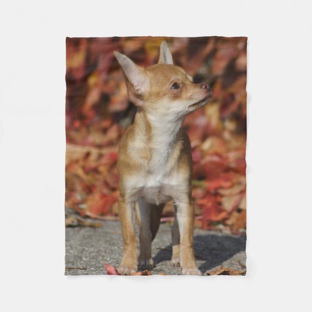 Couverture Polaire Chihuahua Chiuppy Brown (Devant)