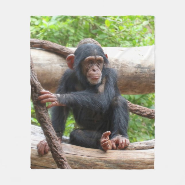 Couverture Polaire Chimpanzée 001 (Devant)