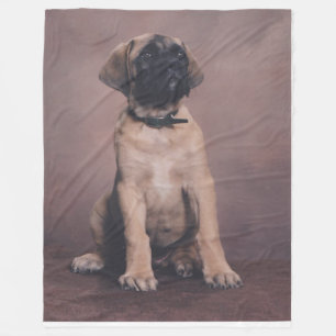 COUVERTURE POLAIRE CHIOT ANGLAIS DE MASTIFF
