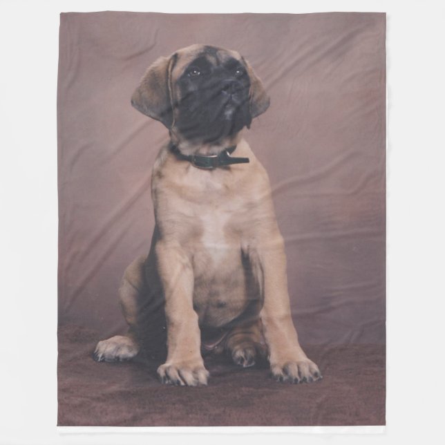COUVERTURE POLAIRE CHIOT ANGLAIS DE MASTIFF (Devant)