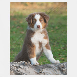 Couverture Polaire Chiot australien mignon de berger, confortable