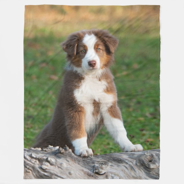 Couverture Polaire Chiot australien mignon de berger, confortable (Devant)