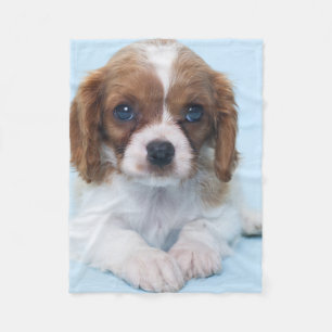 Couverture Polaire Chiot cavalier d'épagneul du Roi Charles
