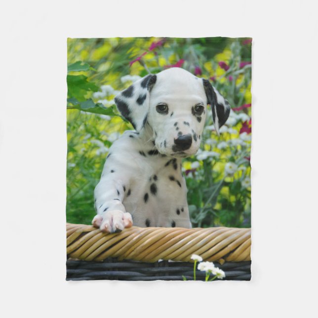 Couverture Polaire Chiot dalmatien mignon de chien, confortable (Devant)