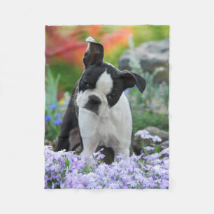 Couverture Polaire Chiot de Boston Terrier Dog