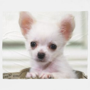 COUVERTURE POLAIRE CHIOT DE CHIWAWA