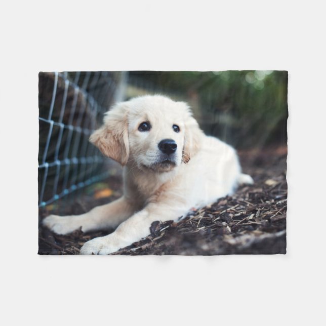 Couverture Polaire Chiot de Labrador jouant dans le jardin (Devant (Horizontal))