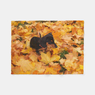 Couverture Polaire Chiot de teckel