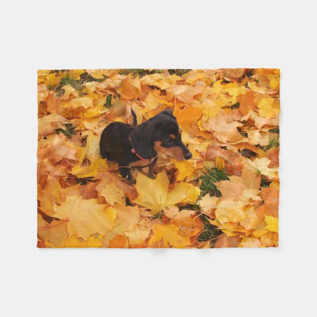Couverture Polaire Chiot de teckel (Devant (Horizontal))