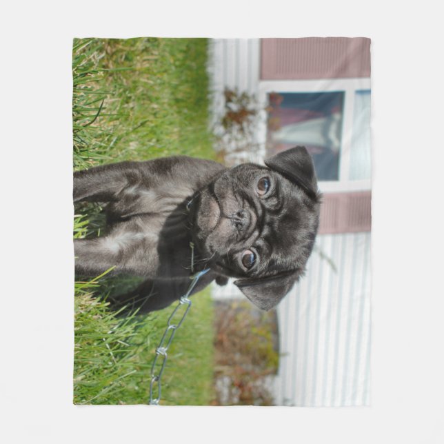 Couverture Polaire Chiot en carlin noir (Devant)