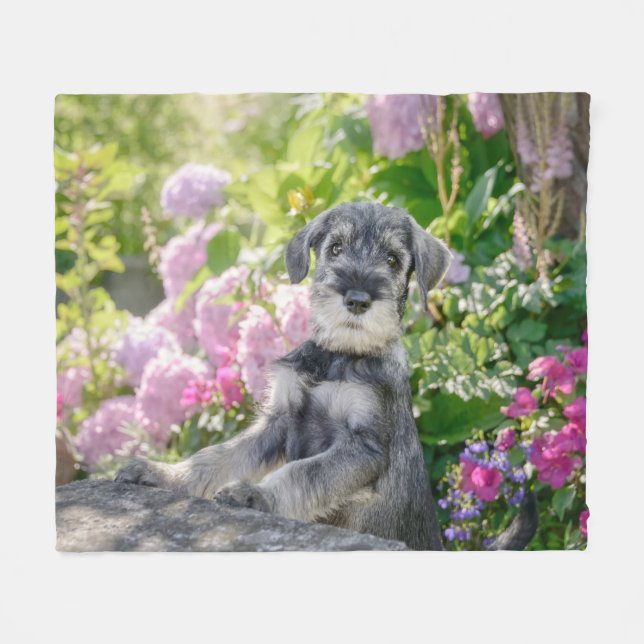 Couverture Polaire Chiot Schnauzer standard dans un jardin fleuri (Devant (Horizontal))